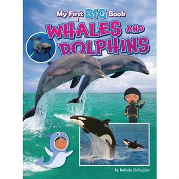My First Big Book of Whales and Dolphins