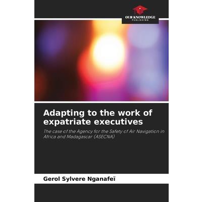 Adapting to the work of expatriate executives