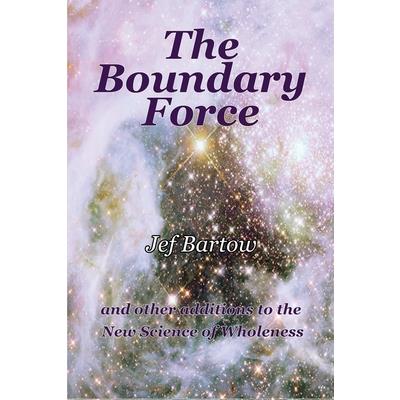 The Boundary Force