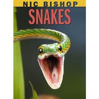 Nic Bishop Snakes