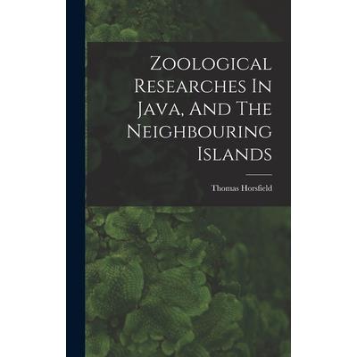 Reading the American Past