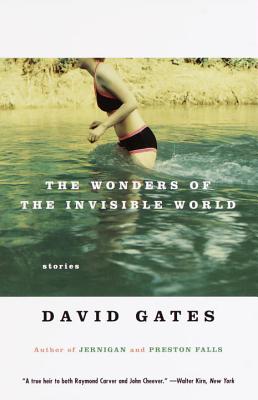 Wonders of the Invisible World: Stories
