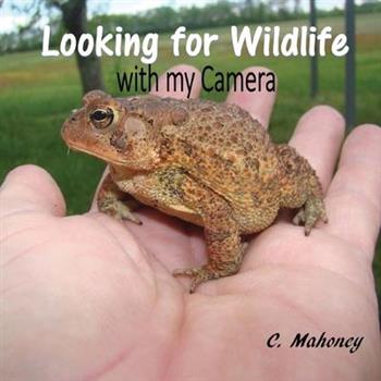 Looking for Wildlife with my Camera