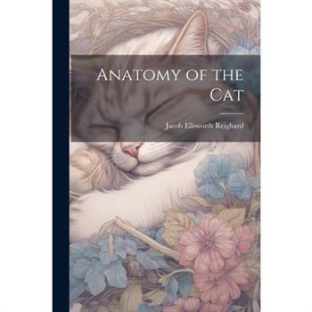 Anatomy of the Cat