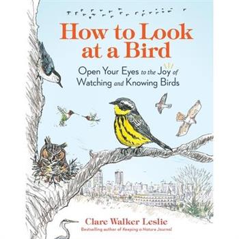 How to Look at a Bird