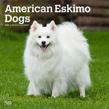 American Eskimo Dogs 2025 12 X 24 Inch Monthly Square Wall Calendar Plastic-Free American Eskimo Dogs 2025 12 X 24 Inch Monthly Square Wall Calendar Plastic-Free