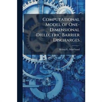 Computational Model of One-Dimensional Dielectric Barrier Discharges