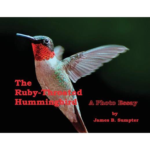 The Ruby-throated Hummingbird