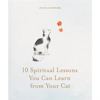 10 Spiritual Lessons You Can Learn from Your Cat