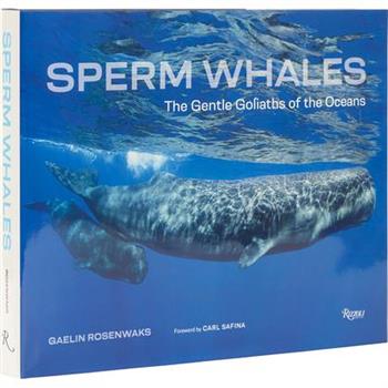 Sperm Whales