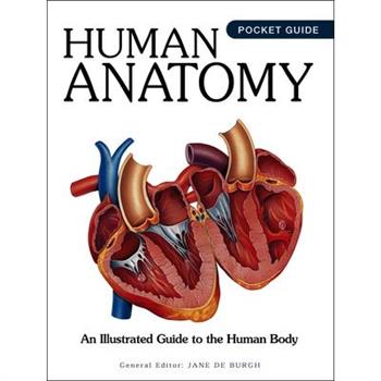Human Anatomy