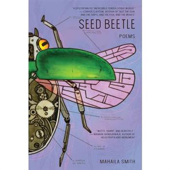 Seed Beetle