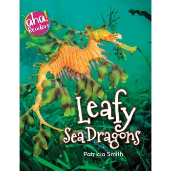 Leafy Sea Dragons