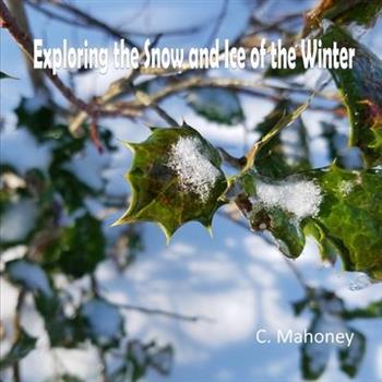 Exploring the Snow and Ice of the Winter