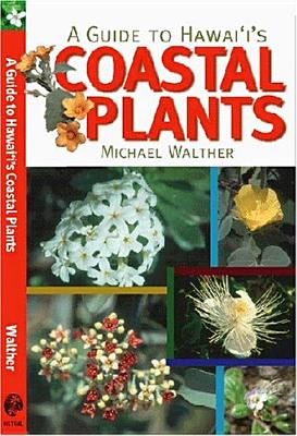 A Guide To Hawaii’s Coastal Plants