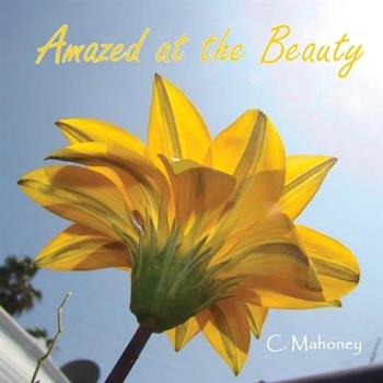 Amazed at the Beauty