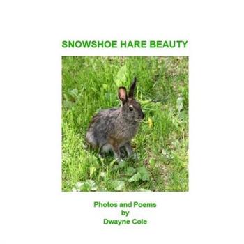 Snowshoe Hare Beauty