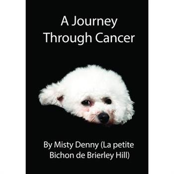 A Journey Through Cancer