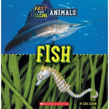 Fast and Slow: Fish (Wild World)