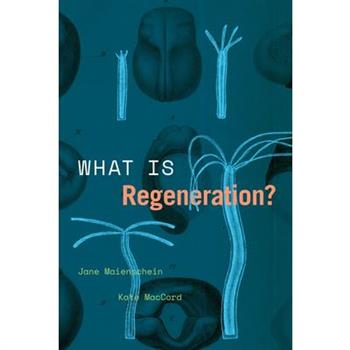 What Is Regeneration?