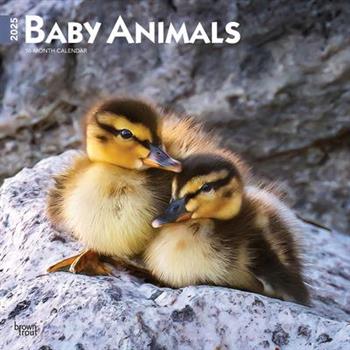 Baby Animals 2025 12 X 24 Inch Monthly Square Wall Calendar Plastic-Free