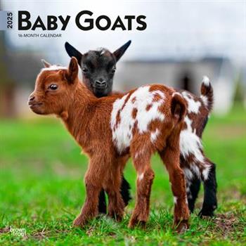 Baby Goats 2025 12 X 24 Inch Monthly Square Wall Calendar Plastic-Free Baby Goats 2025 12 X 24 Inch Monthly Square Wall Calendar Plastic-Free