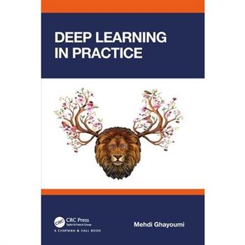 Deep Learning in Practice