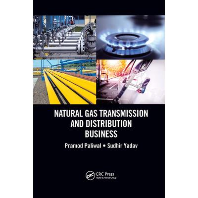 Natural Gas Transmission and Distribution Business