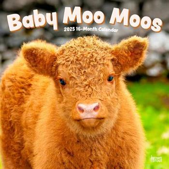 Baby Moo Moos 2025 12 X 24 Inch Monthly Square Wall Calendar Plastic-Free Baby Moo Moos 2025 12 X 24 Inch Monthly Square Wall Calendar Plastic-Free