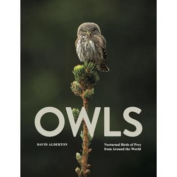 Owls
