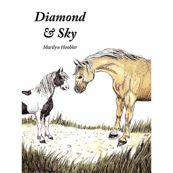 Diamond & Sky
