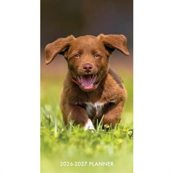 Puppy Love 2-Year 2026-27 3.5 X 6.5 Monthly Pocket Planner