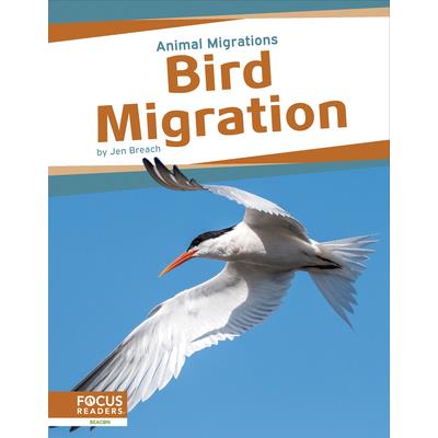 Bird Migration