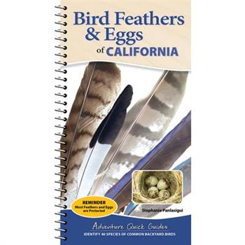 Bird Feathers & Eggs of California