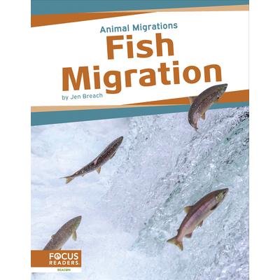 Fish Migration