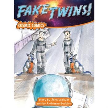Fake Twins