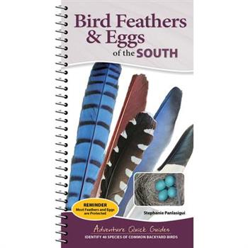 Bird Feathers & Eggs of the South