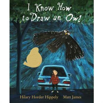 I Know How to Draw an Owl