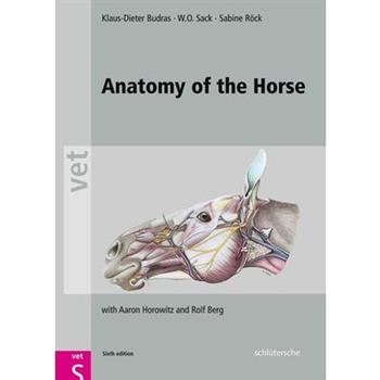 Anatomy of the Horse