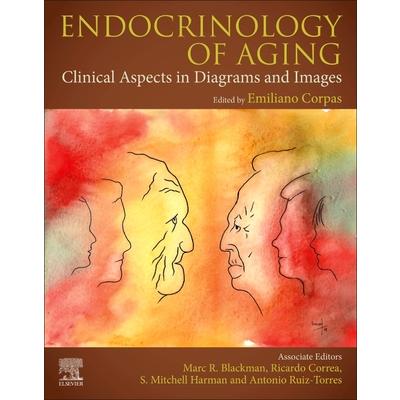 Endocrinology of AgingClinical Aspects in Diagrams and Images
