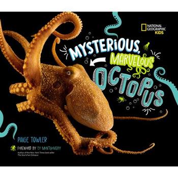 Mysterious, Marvelous Octopus!