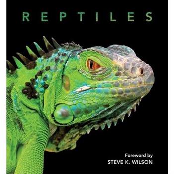 Reptiles