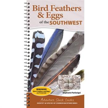 Bird Feathers & Eggs of the Southwest