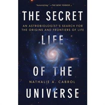The Secret Life of the Universe