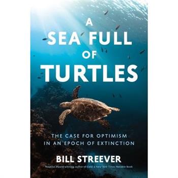 A Sea Full of Turtles