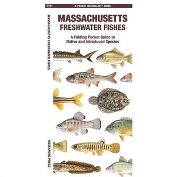 Massachusetts Freshwater Fishes