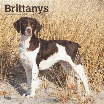 Brittanys 2025 12 X 24 Inch Monthly Square Wall Calendar Plastic-Free Brittanys 2025 12 X 24 Inch Monthly Square Wall Calendar Plastic-Free