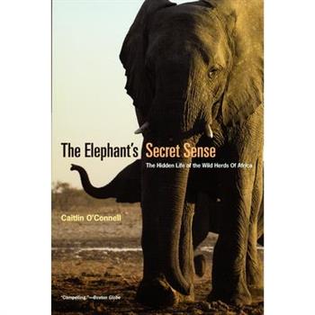 The Elephant’s Secret Sense