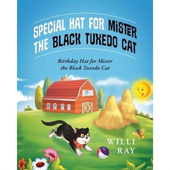 Special Hat for Mister the Black Tuxedo Cat
