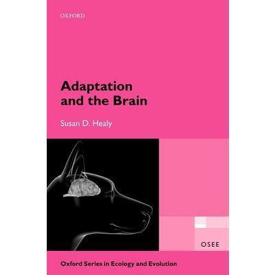 Adaptation and the Brain
